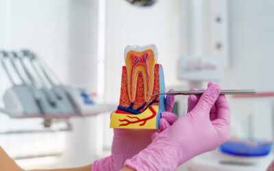 Endodoncia: qué es, cuándo es necesaria y cómo se hace